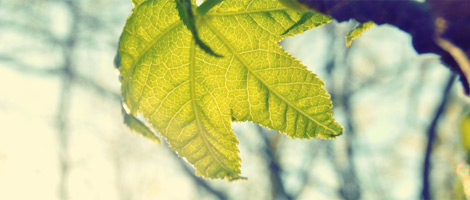 ip攻击器网页版