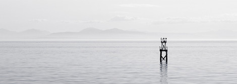 无毒无害健康的免费cc攻击测试