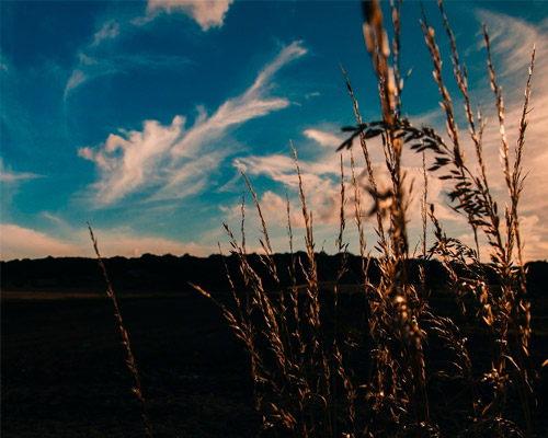 ddos攻击器安卓ios下载